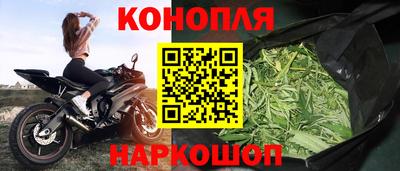 СК Пугачёв